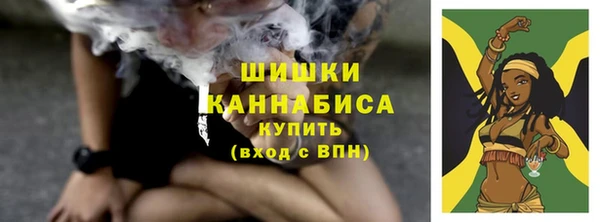 марки lsd Новозыбков