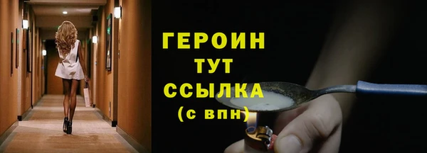 молекула духа Няндома