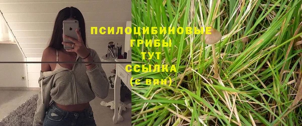 марки lsd Новозыбков