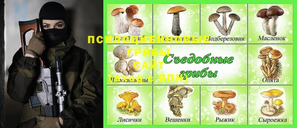 mdma Новодвинск