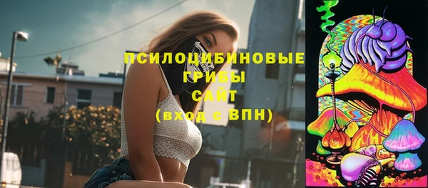 Альфа ПВП Нязепетровск