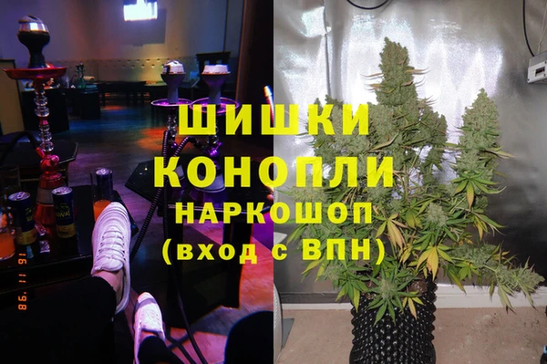 молекула духа Няндома