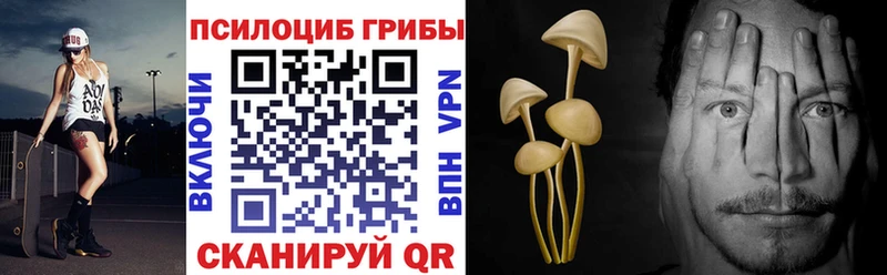 Галлюциногенные грибы Psilocybe  даркнет сайт  Балабаново 